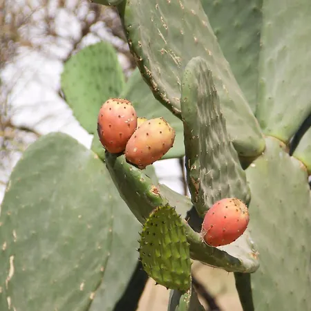 Apart Otel Nomads House