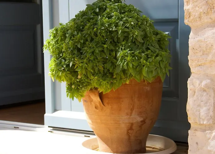 Apart Otel Nomads House Logaras