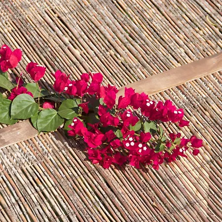 Aparthotel Nomads House Logaras