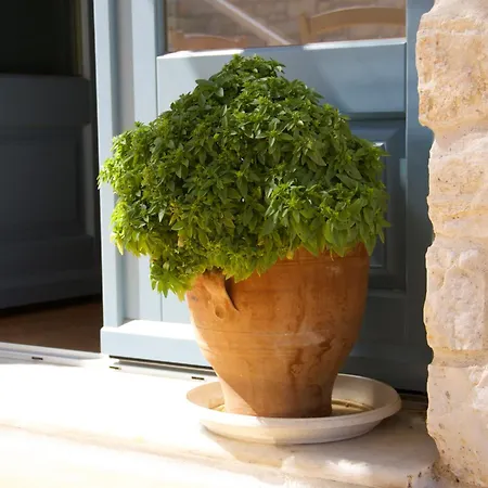 Aparthotel Nomads House Logaras