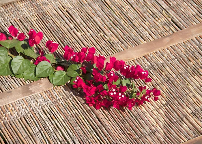 Ξενοδοχείο με διαμερίσματα Nomads House Λογαράς