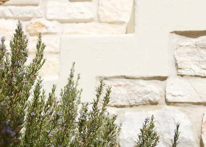 Апарт-отель Nomads House